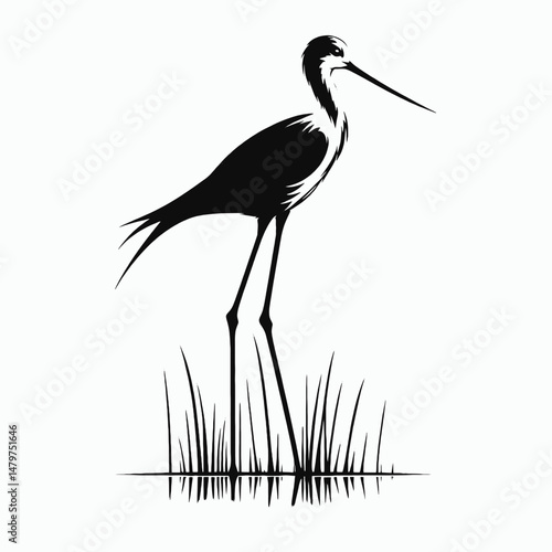 vector silhouette of a black-winged stilt with extremely long legs, standing tall, clean lines, white background 