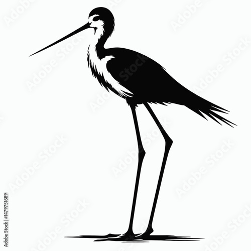 vector silhouette of a black-winged stilt with extremely long legs, standing tall, clean lines, white background 