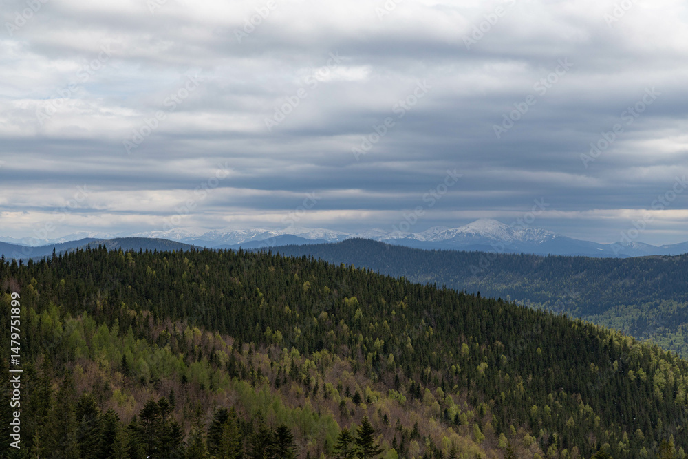 low gray clouds over forested mountains low gray clouds over forested mountains