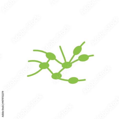 lymph gland vector