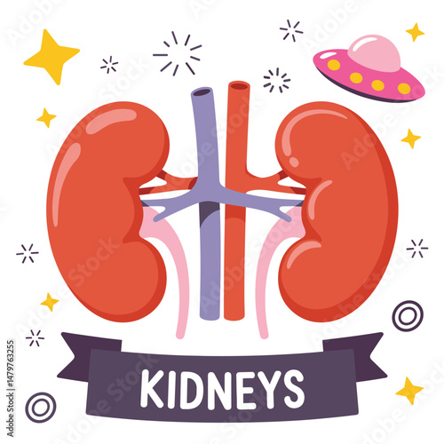 Cartoon Kidneys Illustration for Educational Purposes