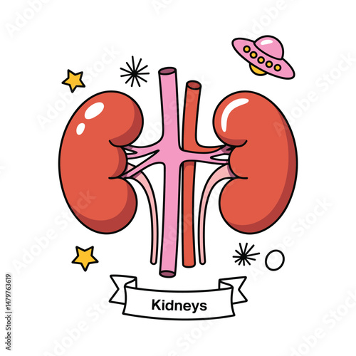 Cartoon Kidneys Illustration for Educational Purposes