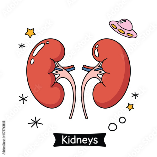 Cartoon Kidneys Illustration for Educational Purposes