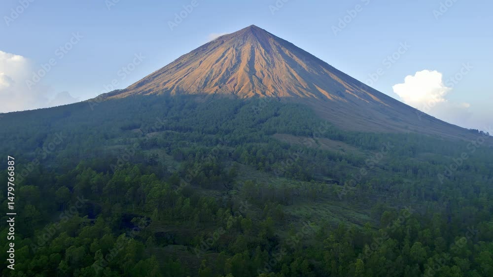 Aerial sunrise view of Mount Inerie with a smooth upward tilt. Early light reveals the volcano’s dramatic slopes and dense green forest below. Serene and cinematic nature footage in Indonesia. Aerial sunrise view of Mount Inerie with a smooth upward tilt. Early light reveals the volcano’s dramatic slopes and dense green forest below. Serene and cinematic nature footage in Indonesia.