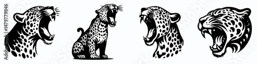 Leopard. Roar Fierce Aggressive Strong Open Mouth Strength Clipart silhouette Vector Illustration. cat jungle predator wild feline nature inhabitant zoology theme.