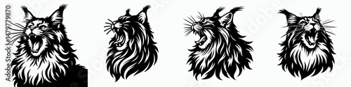 Maine Coon Cat. Roar Fierce Aggressive Strong Open Mouth Strength Clipart silhouette Vector Illustration. Colossal feline breed gent giant longhair domestic pet for adoption care.