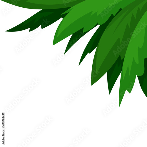 Green tropical leaves  on white background with copy space for nature themed decoration