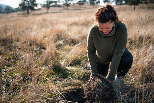 Wallpaper Mural female farmer in a field learning about pasture. studying crops in a field, studying a soil and plant with cows storing carbon Torontodigital.ca