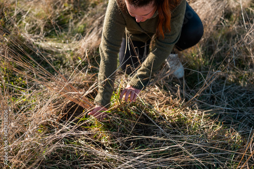 Εκτύπωση καμβά regenerative organic female farmer, taking soil samples and looking at plant growth in a farm