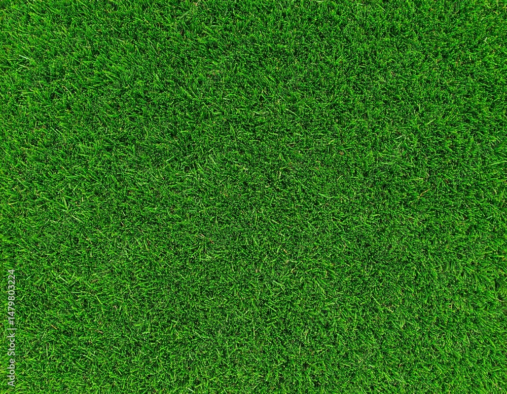 Fototapeta premium Grass pattern. Fresh spring green grass, green grass texture top wiev. Green grass texture background. 
