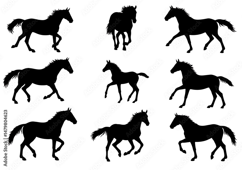 Obraz premium Elegant Horse Silhouettes: A Dynamic Collection