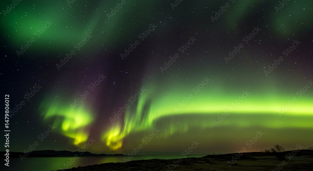 Majestic Aurora Borealis Display over Calm Lake at Night Stunning Green and Purple Northern Lights