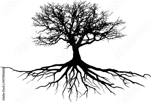 Silhouette of a bare tree with roots spreading wide. Vector illustration