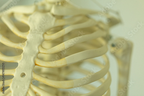 High-resolution close-up of...