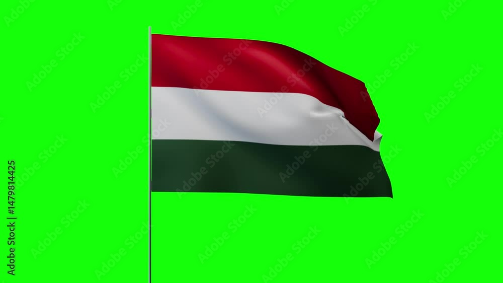 Greenbox Flag Waving on Pole Greenbox Flag Waving on Pole