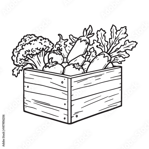 Set of 6 pcs Different type of     'wooden box with vegtables'      clear vision Simple line art onsimple wooden box with assortment of vegetables illustration white background (2).eps