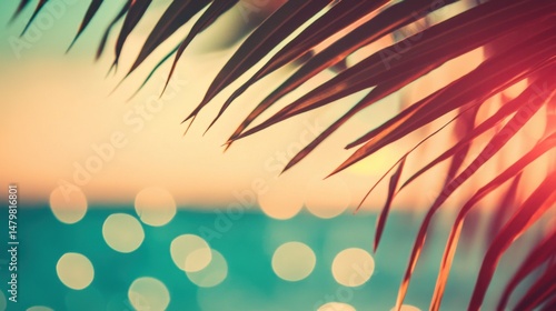 Palm frond silhouette at tropical beach sunset with bokeh lights in turquoise water close up view