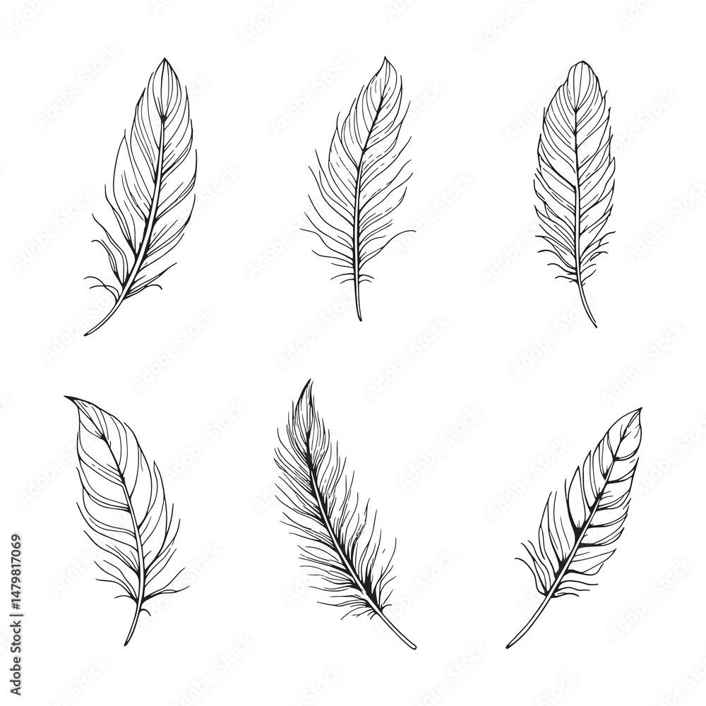 Single feather line art perfect for tattoo designs Single feather line art perfect for tattoo designs