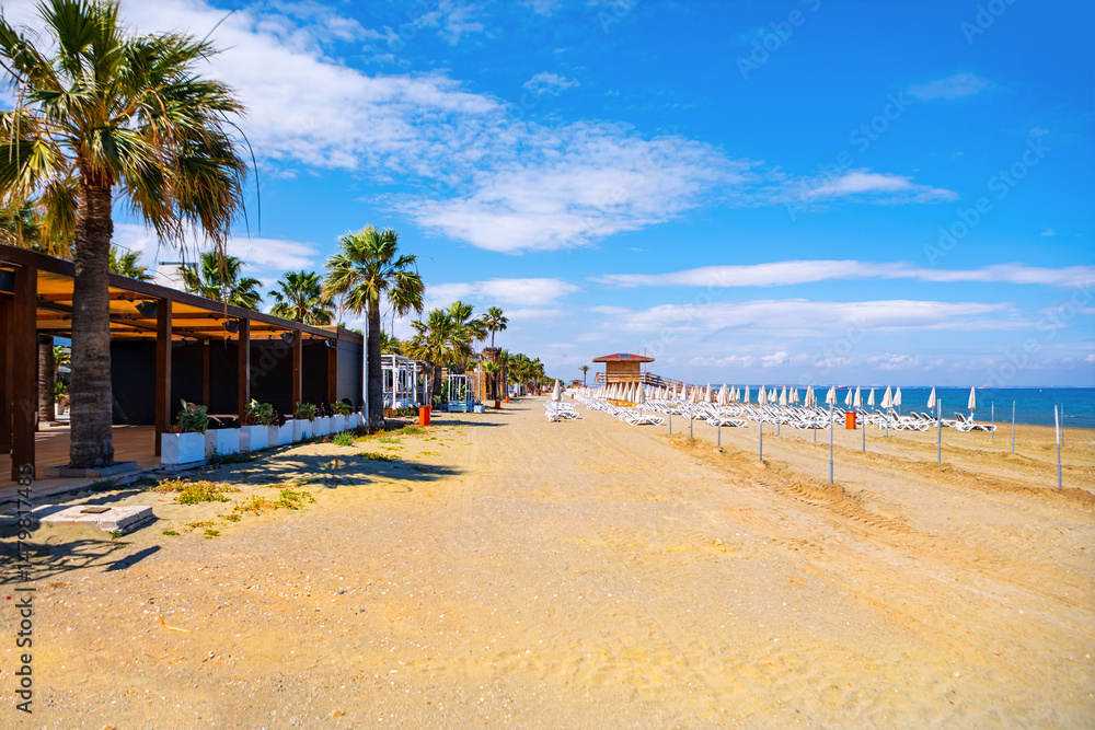 Fototapeta premium Mackenzie Beach in Larnaca Cyprus with sunny shoreline lined with palm trees and shaded cabanas, offering relaxing atmosphere. Beach extends towards sea with rows of white lounge chairs and umbrellas