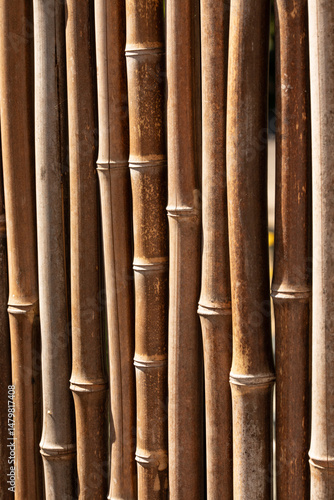 Textured image of multiple ...