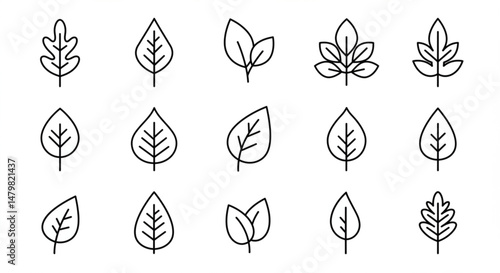 Simple line set of leaf icons.