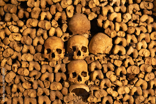 Bild auf Leinwand Spooky image of skulls and femurs arranged in the Paris Catacombs