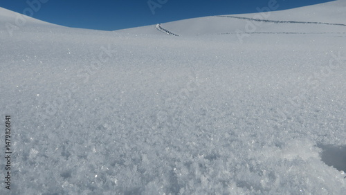 High-resolution image of pr...