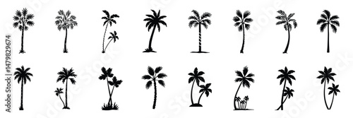 Collection of palm tree silhouettes for tropical themes