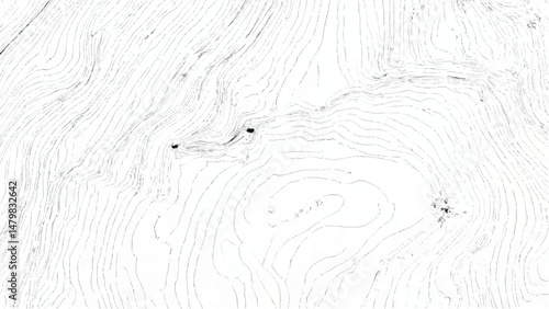 Wooden surface close-up with natural grain patterns. Wood grain background. Vector wood grain texture. 