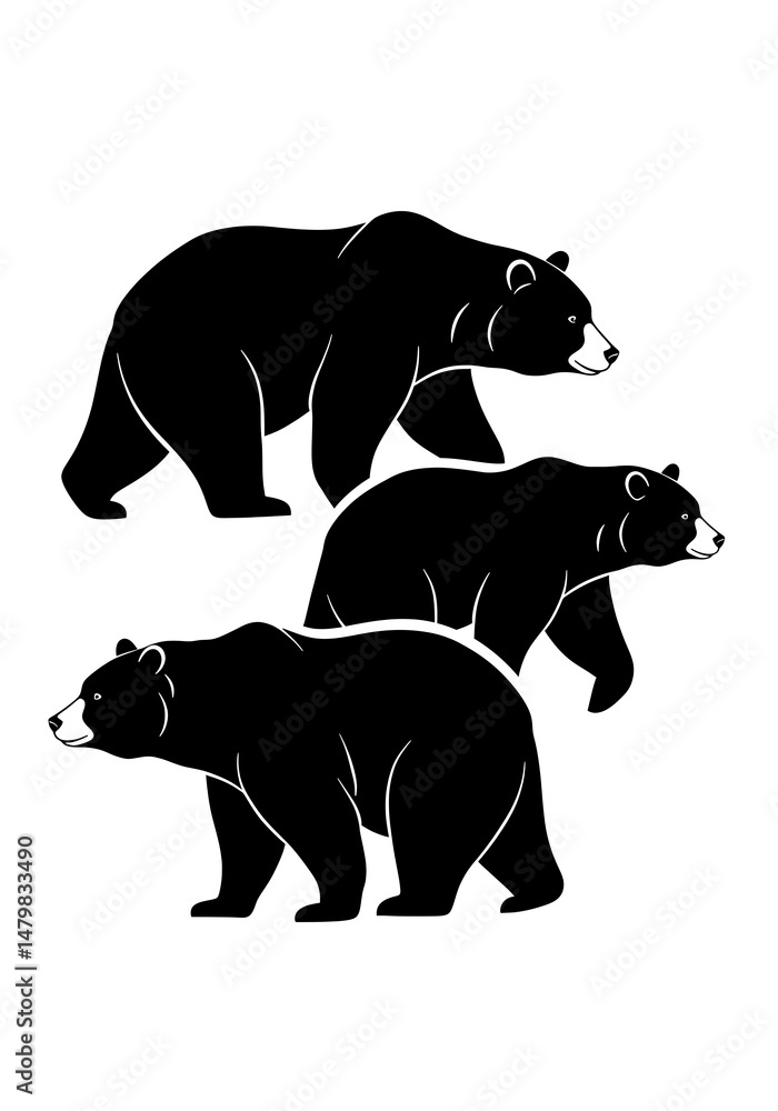 Fototapeta premium Majestic Bear Trio: Silhouette Strength