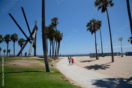 Scenic boardwalk path, palm...