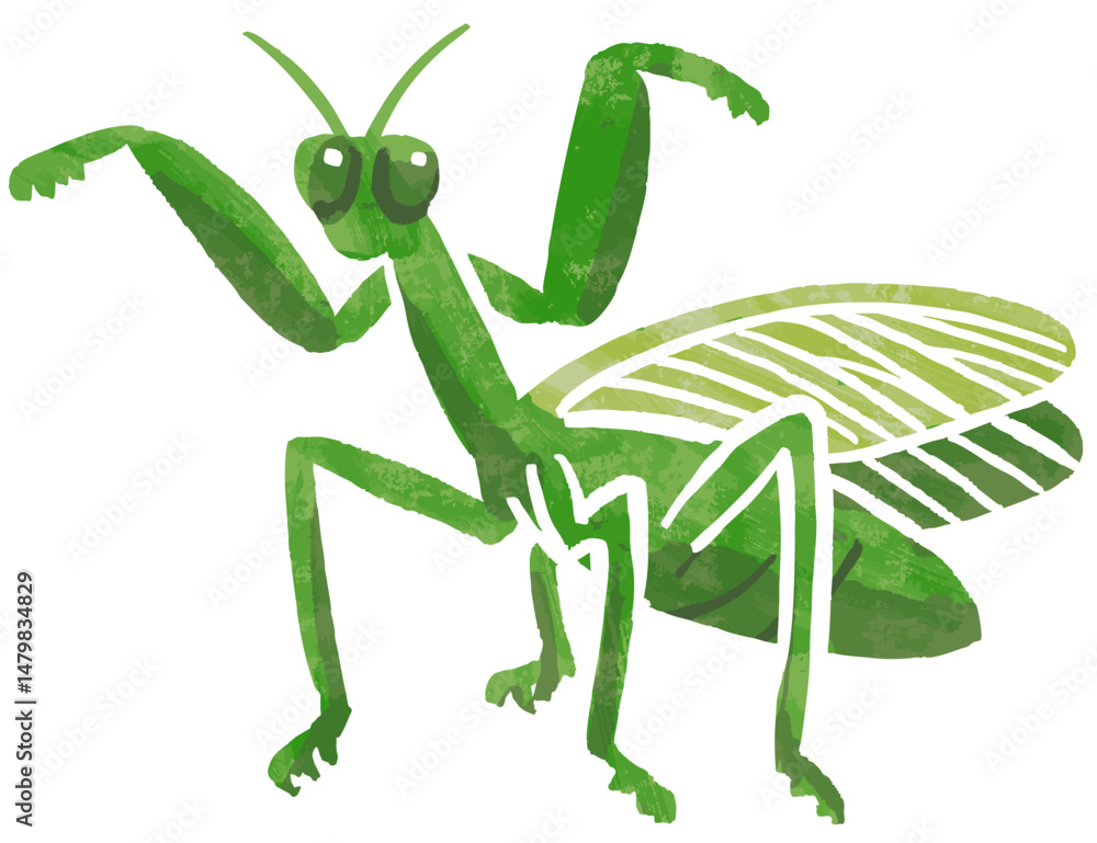 Obraz premium シンプルなカマキリのベクターイラスト
