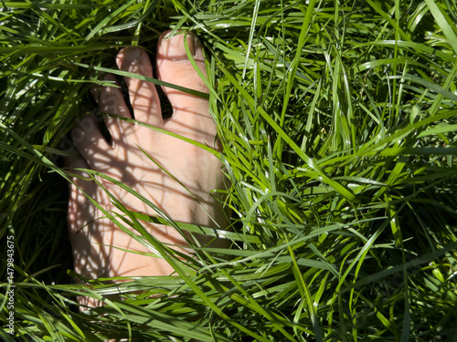 A person's foot nestled in ...