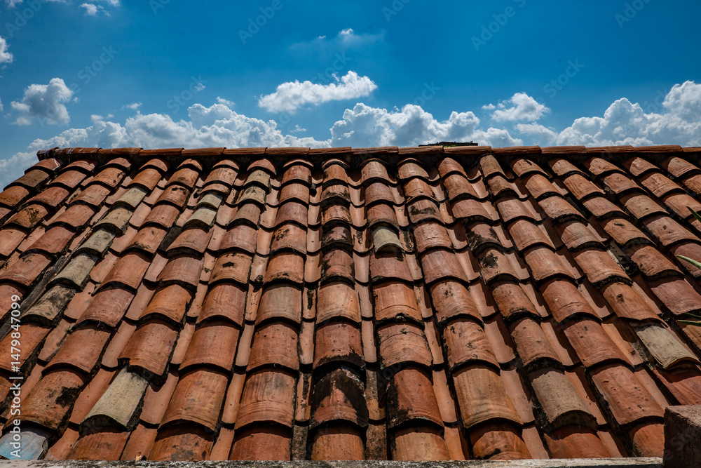 Fototapeta premium orange brick roof under blue sky