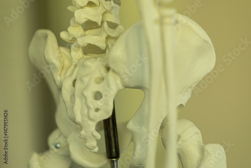 Detailed close-up of a huma...
