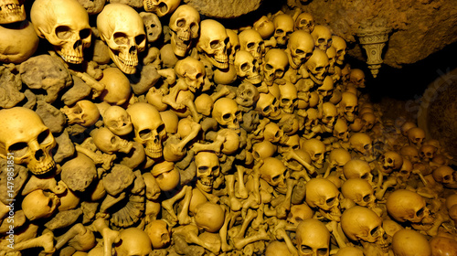 Sculls and bones in the catacombes of Paris