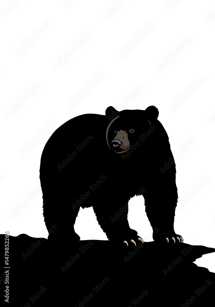 Fototapeta premium Majestic Bear Silhouette: Nightfall on the Ridge