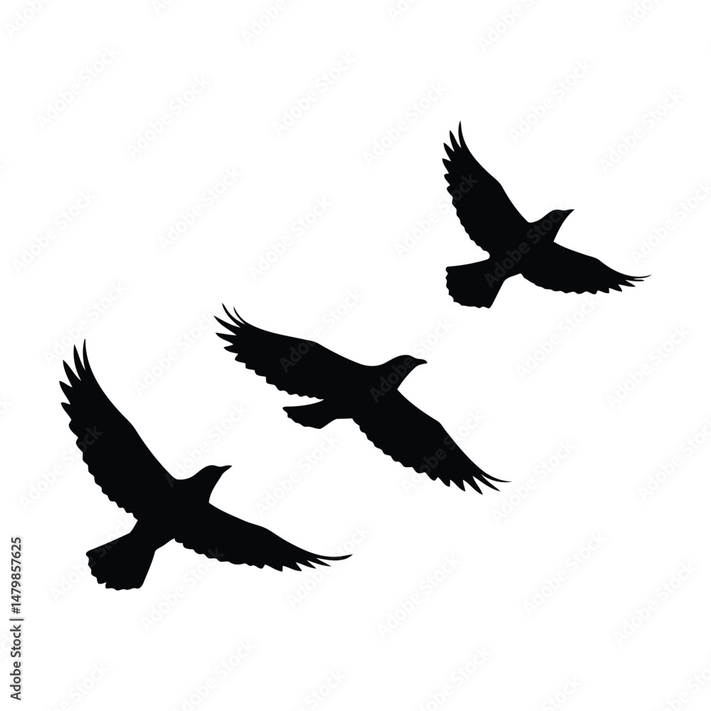Obraz premium Flying birds silhouettes on a white background, vector illustration 