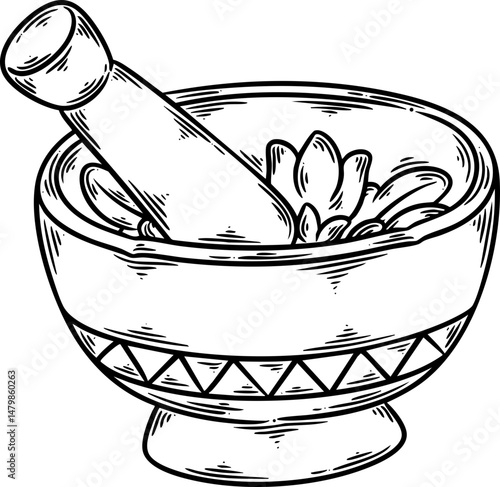 mortar, herb magic hand drawn