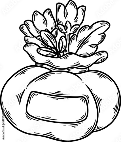 magic magic hand drawn