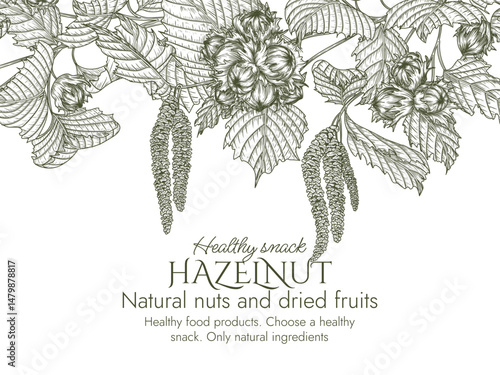 Vector border with hazelnut branch in engraving style. Graphic banner with forest nuts on tree. Template with growing healthy snack