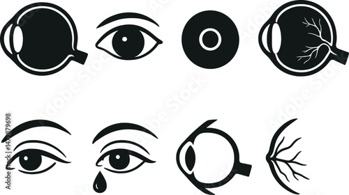 Eye anatomy silhouette icons set – medical, vision and human biology symbols