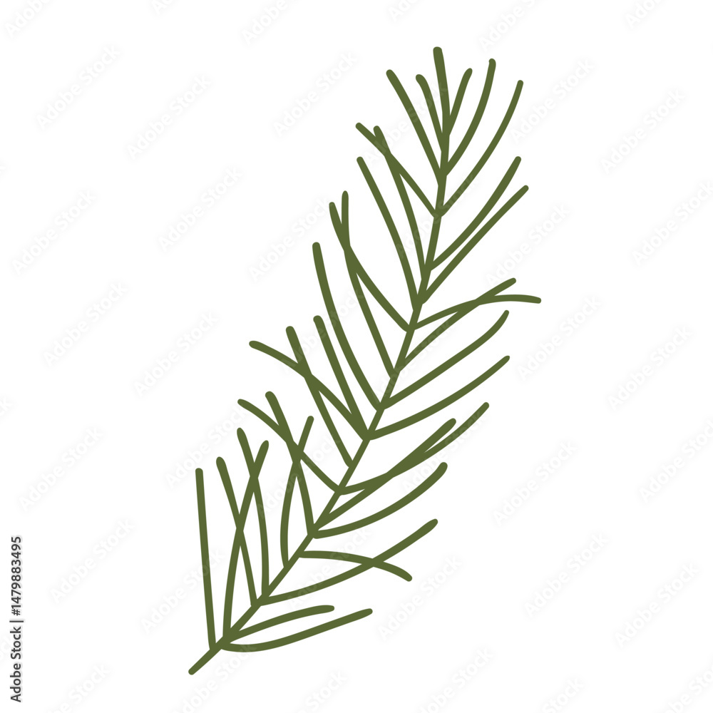 Fototapeta premium Pine Tree Branch in Hand Drawn Style. Nature decoration for Christmas frames and wreaths. Fir symbols. Holidays green flat twigs