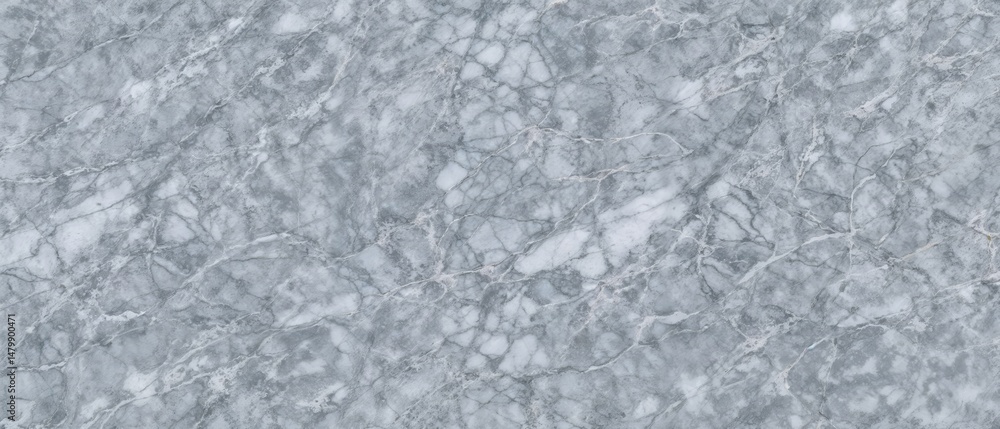 Fototapeta premium Subtle Gray Marble Texture with Natural Veins