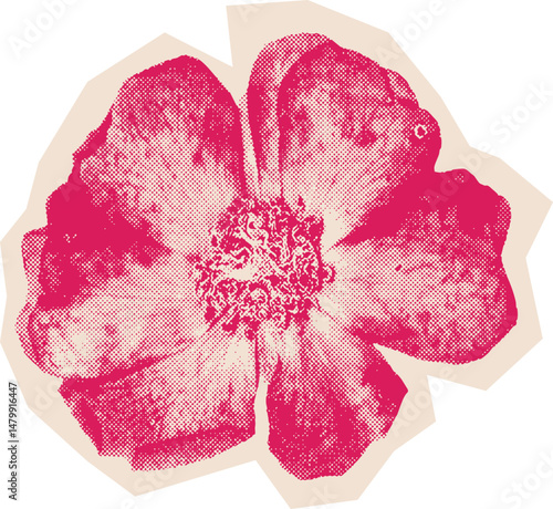 Colorful Halftone Flower Cutout Collage With Vintage Texture for Sticker Design Scrapbook Craft or Retro Botanical Decor Projects