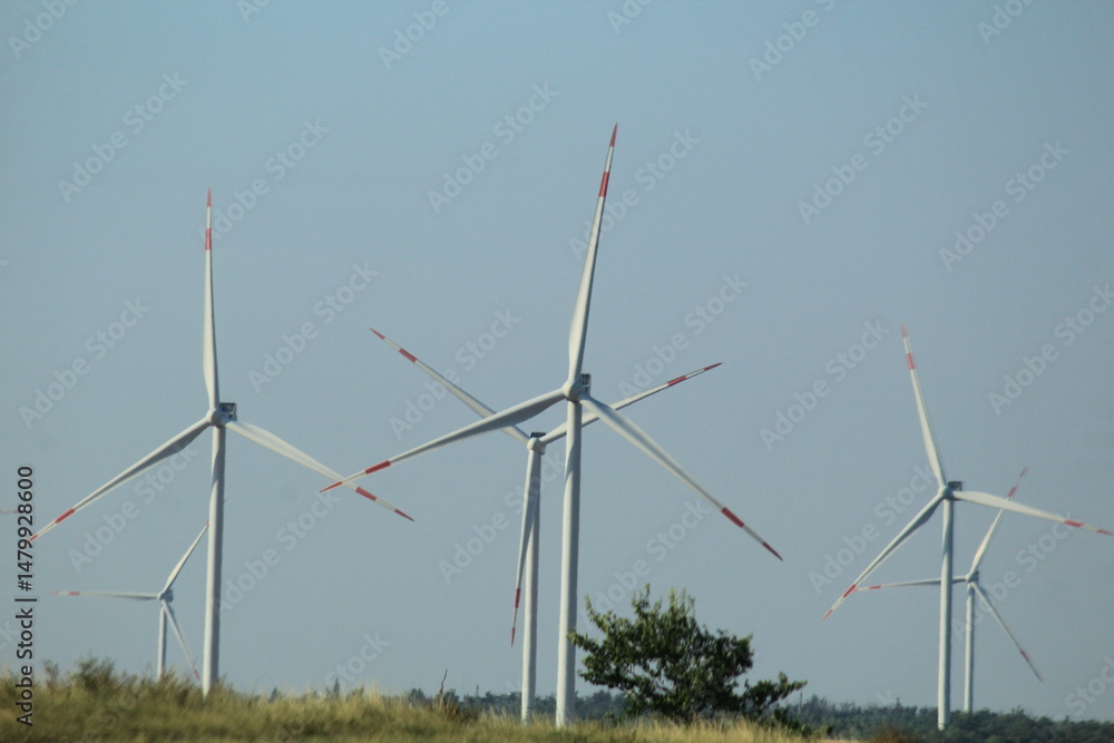 Fototapeta premium wind power plants in a field on a sunny summer day