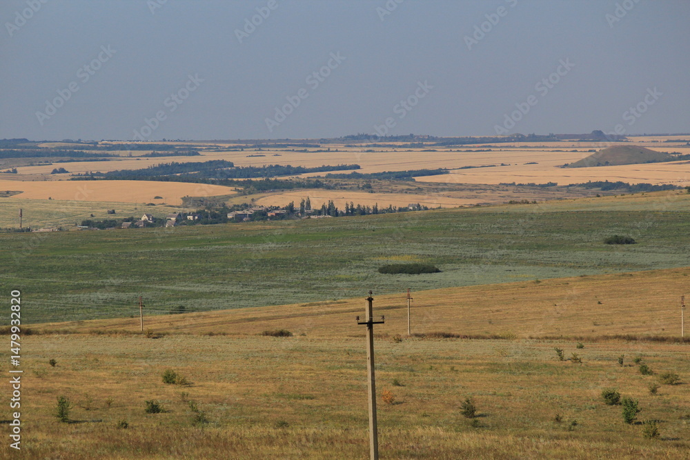 Fototapeta premium landscape of fields in the south of Russia in the middle of summer on a sunny day