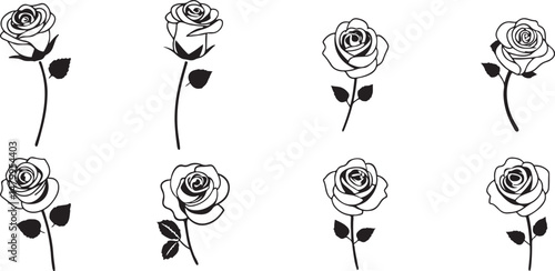 Rose Illustration Collection. Line Art Roses for Decoration. Blooming Roses.