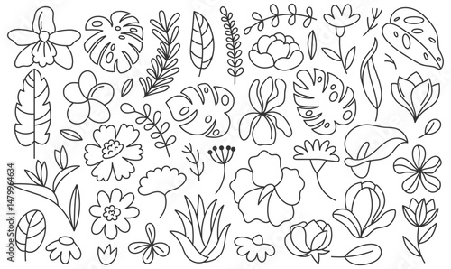 Hand-drawn summer plants doodle set. Collection of cute leaves, branches, herbs, and florals in cartoon style. Perfect for seasonal illustrations, packaging, eco-themed projects, stickers, and invitat