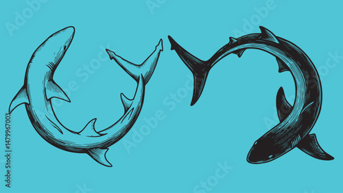 Engraved shark circling prey top-down view with powerful tail wide fins and natural ocean predator shape